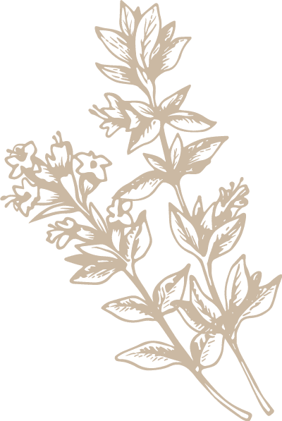 Decoración de fondo